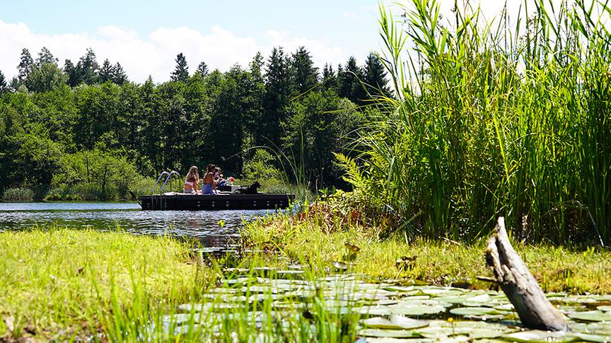 © Leopold Mayrhofer/Natur im Garten Im Garten von Kristin Seifert und Gerd Oblak.