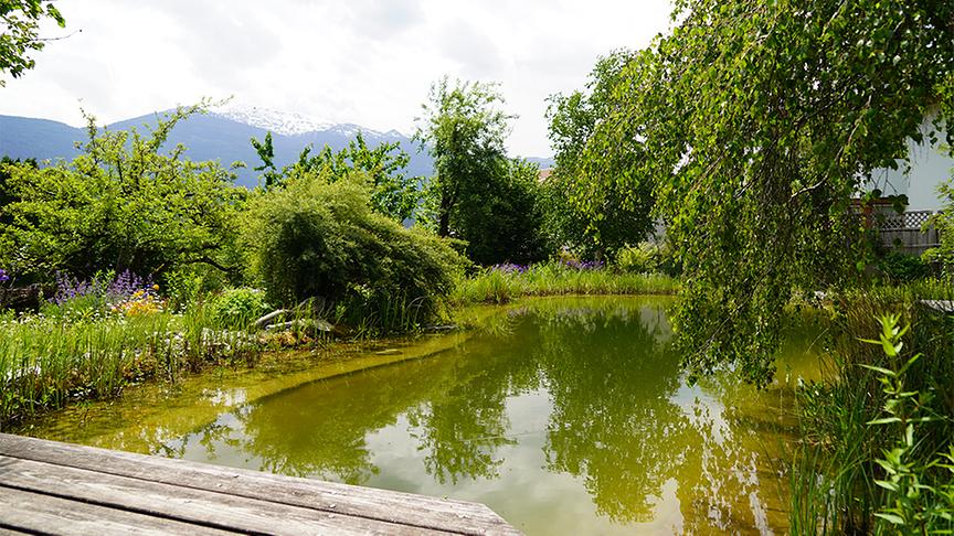 © Foto: Natur im Garten/ Leopold Mayrhofer Sabine Sladky-Meraner zeigt ihr ökologisches Paradies.