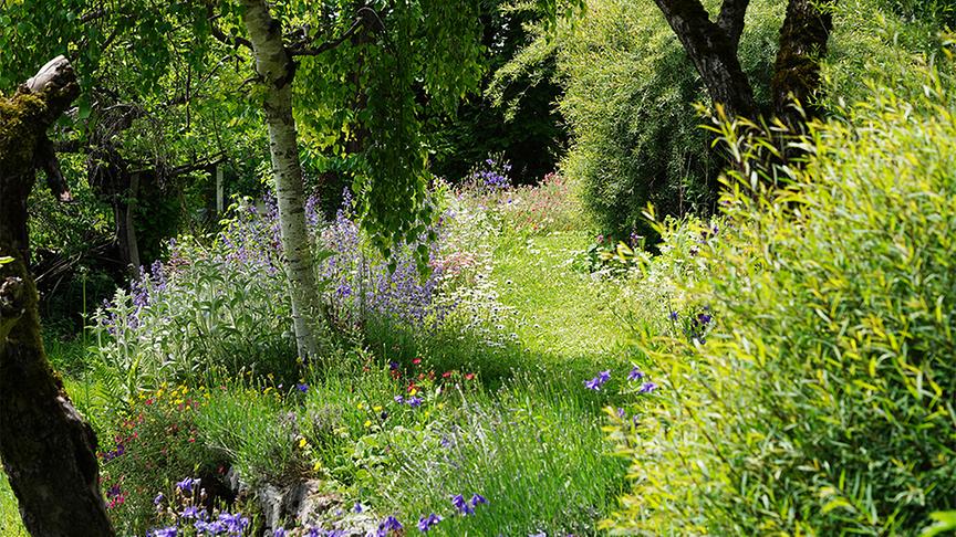 © Foto: Natur im Garten/ Leopold Mayrhofer Sabine Sladky-Meraner zeigt ihr ökologisches Paradies.