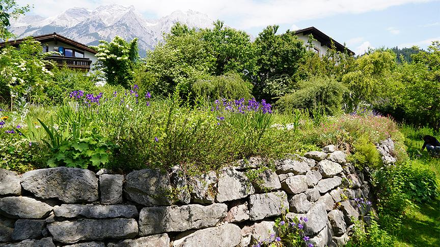 © Foto: Natur im Garten/ Leopold Mayrhofer Sabine Sladky-Meraner zeigt ihr ökologisches Paradies.
