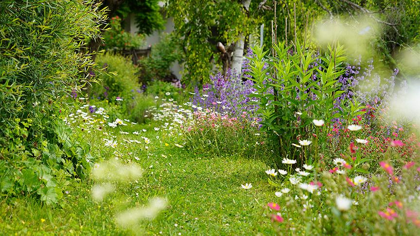 © Foto: Natur im Garten/ Leopold Mayrhofer Sabine Sladky-Meraner zeigt ihr ökologisches Paradies.