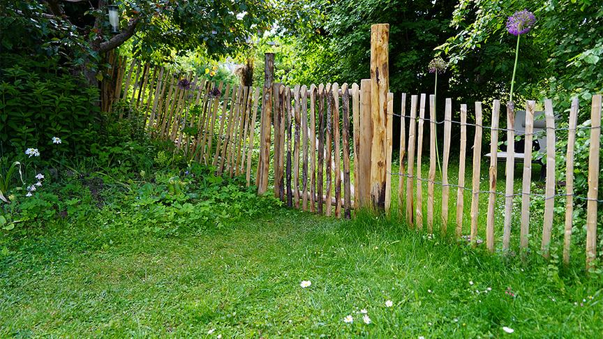 © Foto: Natur im Garten/ Leopold Mayrhofer Sabine Sladky-Meraner zeigt ihr ökologisches Paradies.
