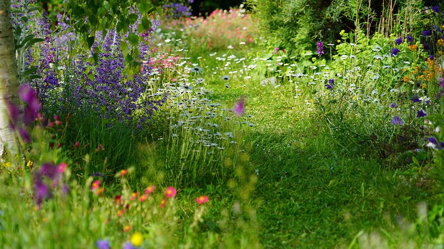 © Foto: Natur im Garten/ Leopold Mayrhofer Sabine Sladky-Meraner zeigt ihr ökologisches Paradies.