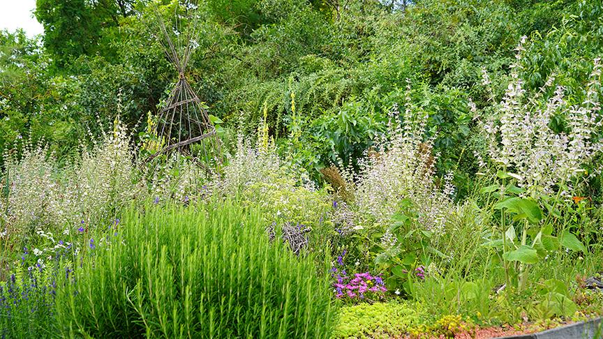 © Natur im Garten/ Leopold Mayrhofer Zu Besuch im Garten von Susi Mitas