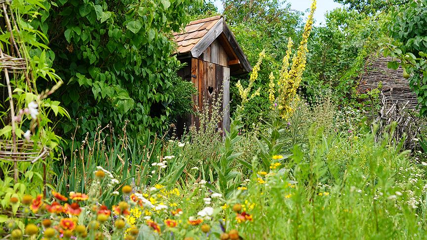 © Natur im Garten/ Leopold Mayrhofer Zu Besuch im Garten von Susi Mitas