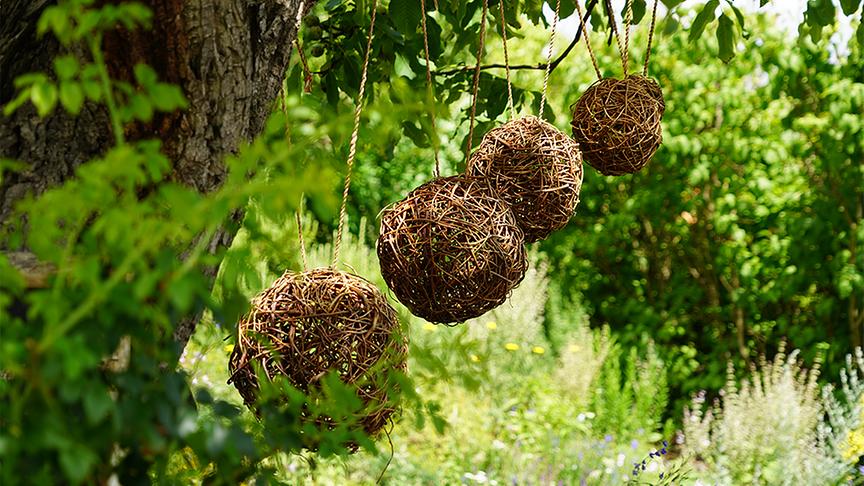 Zu Besuch im Garten von Susi Mitas