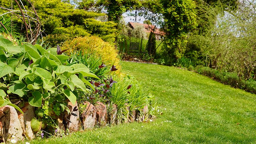 Der Garten von Susi Pammer.