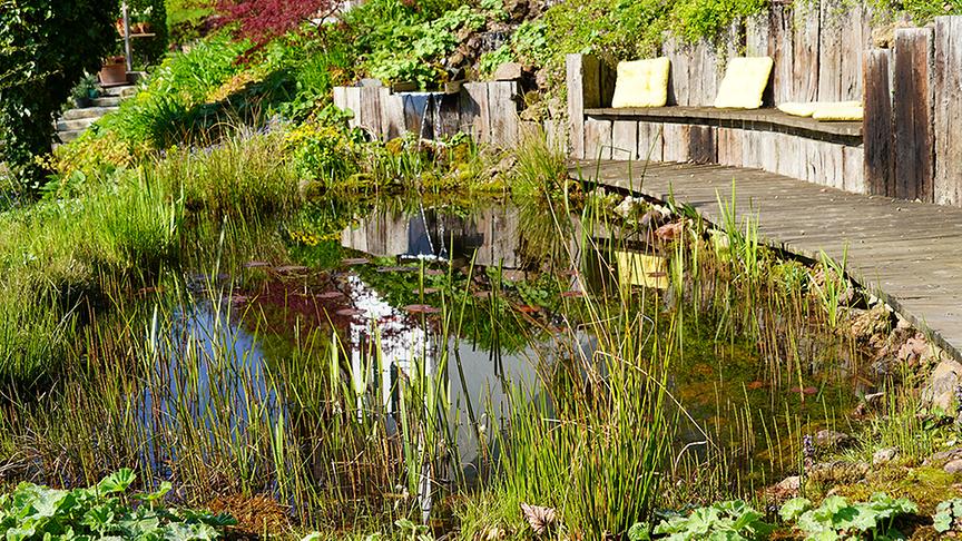 Der Garten von Susi Pammer.