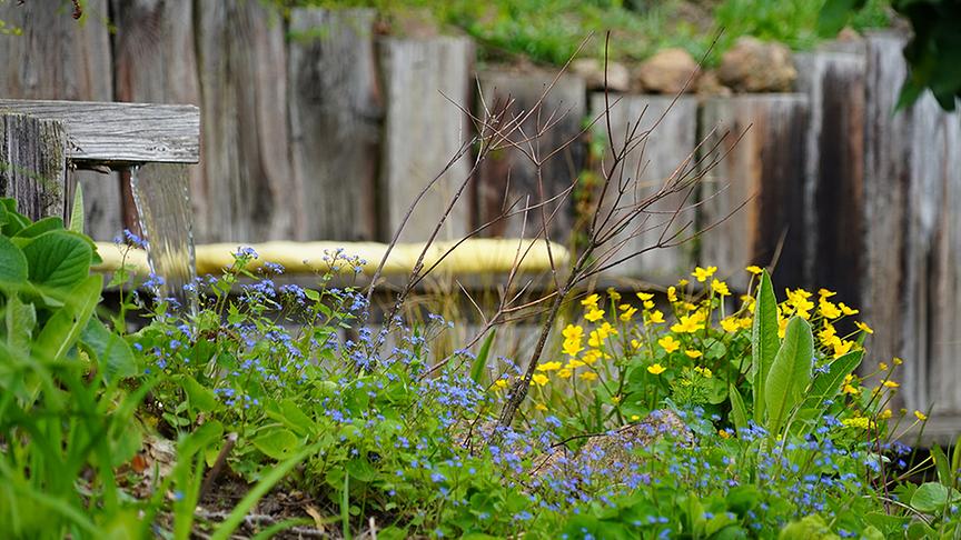Der Garten von Susi Pammer.