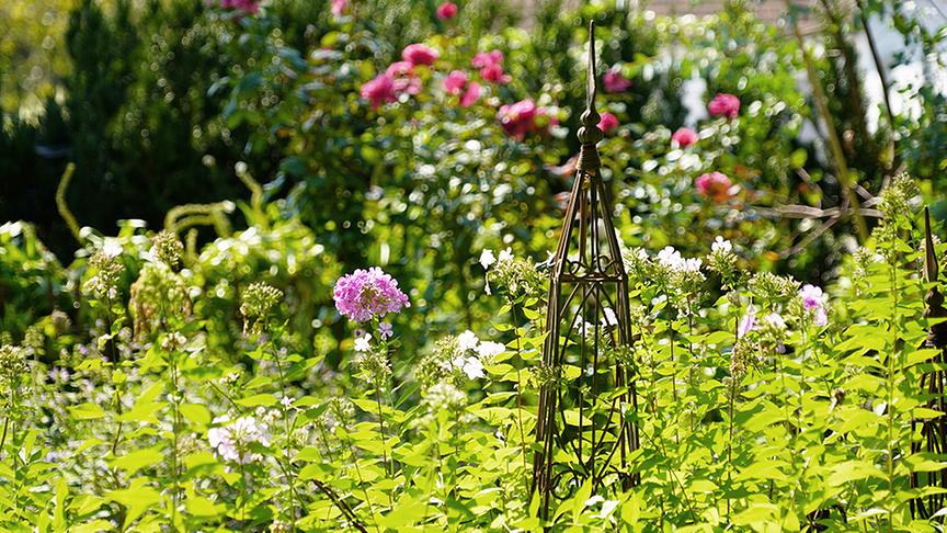 © Natur im Garten/ Leopold Mayrhofer Im Garten von Tamara Holzer