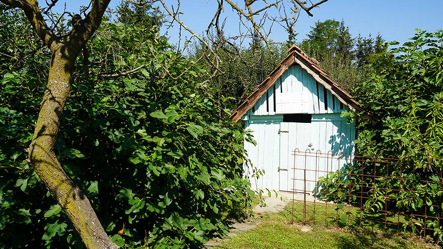© Natur im Garten/ Leopold Mayrhofer Im Garten von Tamara Holzer