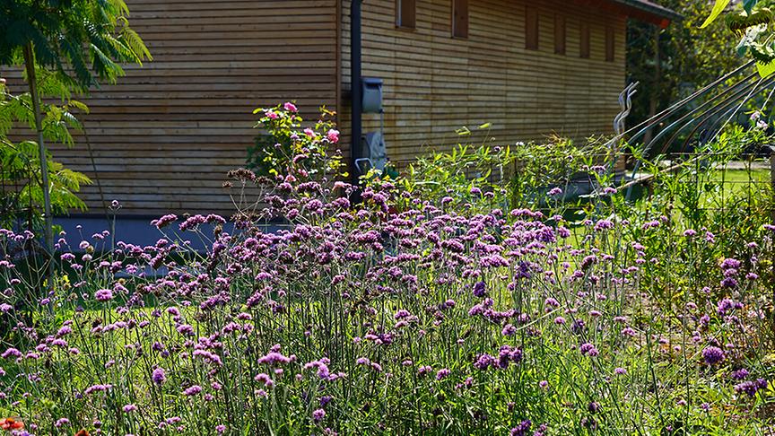 © Natur im Garten/ Leopold Mayrhofer Im Garten von Tamara Holzer