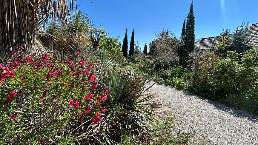 © Foto: Ralph Huber-Blechinger Im Garten von Thomas Amersberger