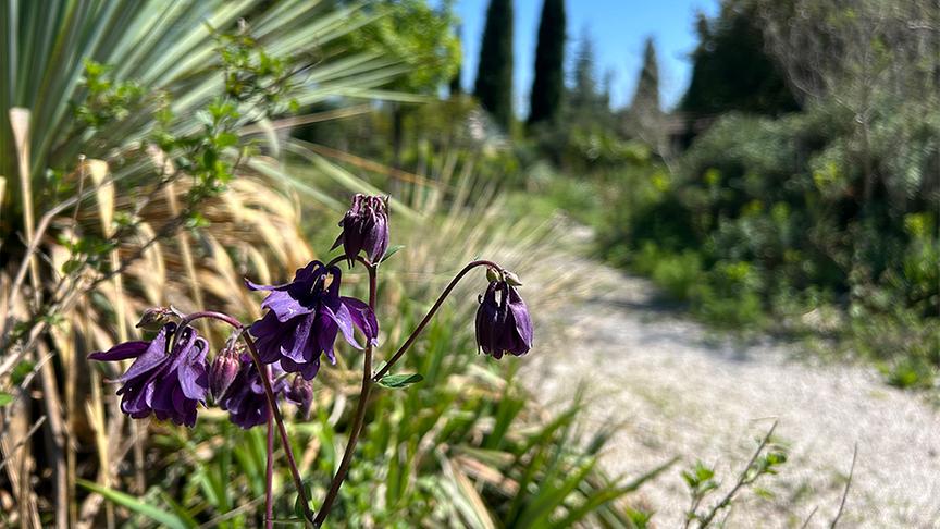 © Foto: Ralph Huber-Blechinger Im Garten von Thomas Amersberger