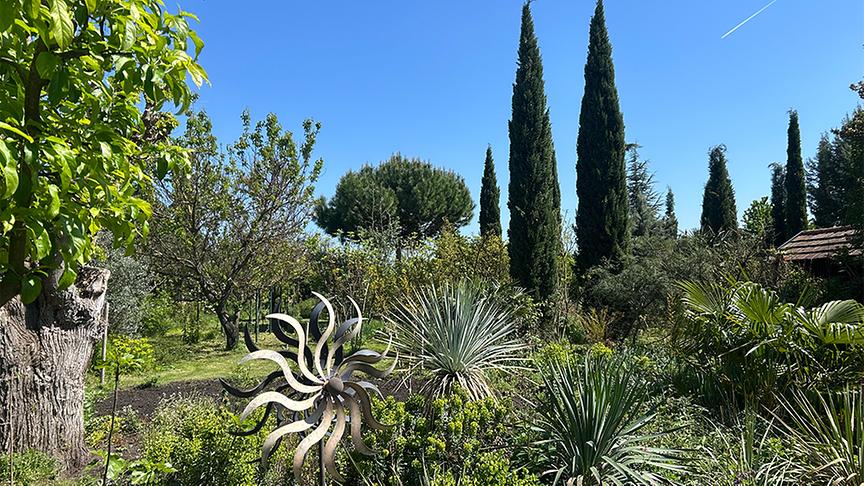 © Foto: Ralph Huber-Blechinger Im Garten von Thomas Amersberger