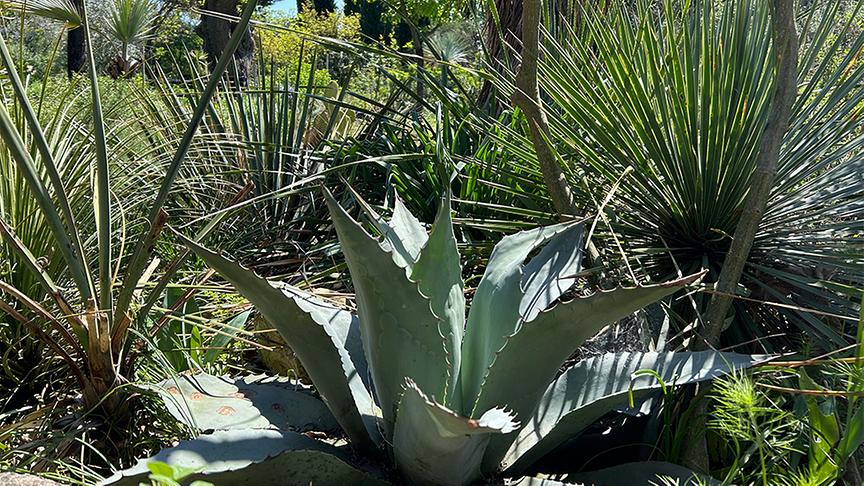 © Foto: Ralph Huber-Blechinger Im Garten von Thomas Amersberger