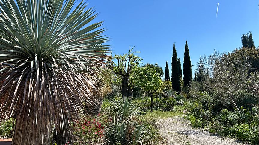 © Foto: Ralph Huber-Blechinger Im Garten von Thomas Amersberger