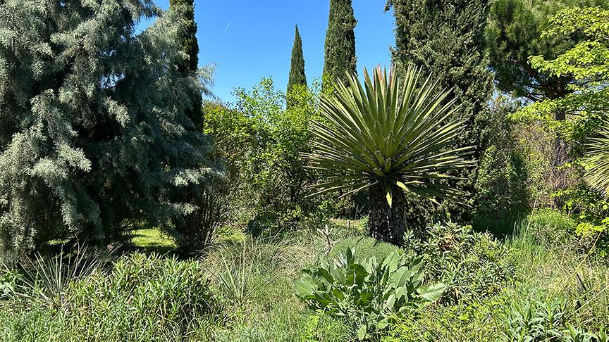 © Foto: Ralph Huber-Blechinger Im Garten von Thomas Amersberger