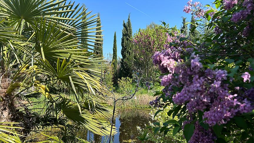 © Foto: Ralph Huber-Blechinger Im Garten von Thomas Amersberger