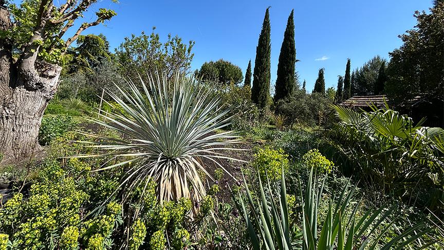 © Foto: Ralph Huber-Blechinger Im Garten von Thomas Amersberger
