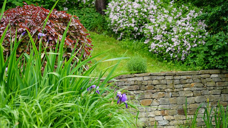 © Natur im Garten/ Leopold Mayrhofer Zu Besuch im Garten von Till Jelitto
