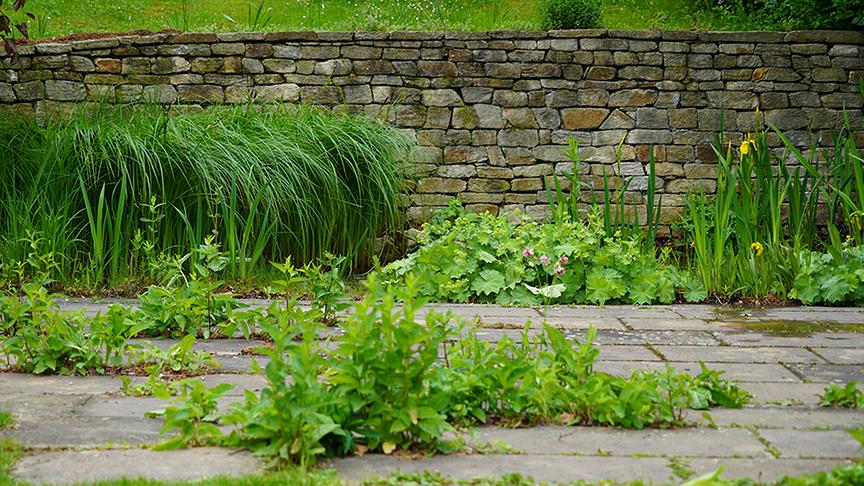 © Natur im Garten/ Leopold Mayrhofer Zu Besuch im Garten von Till Jelitto