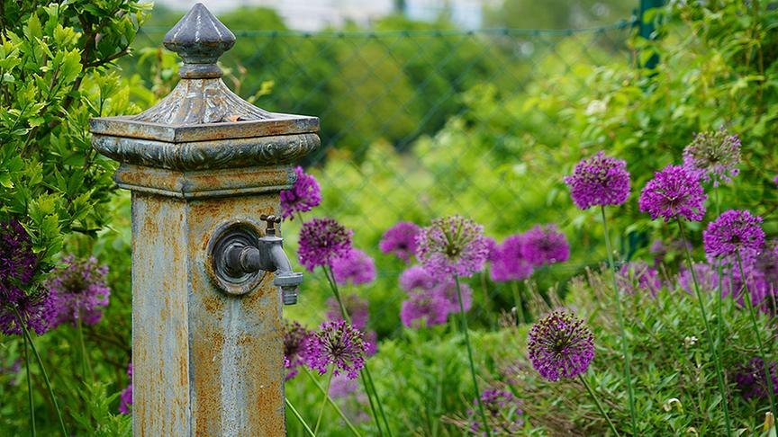© Natur im Garten/ Leopold Mayrhofer Zu Besuch im Garten von Till Jelitto