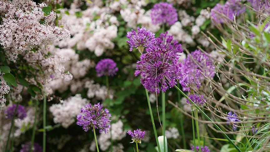 © Natur im Garten/ Leopold Mayrhofer Zu Besuch im Garten von Till Jelitto