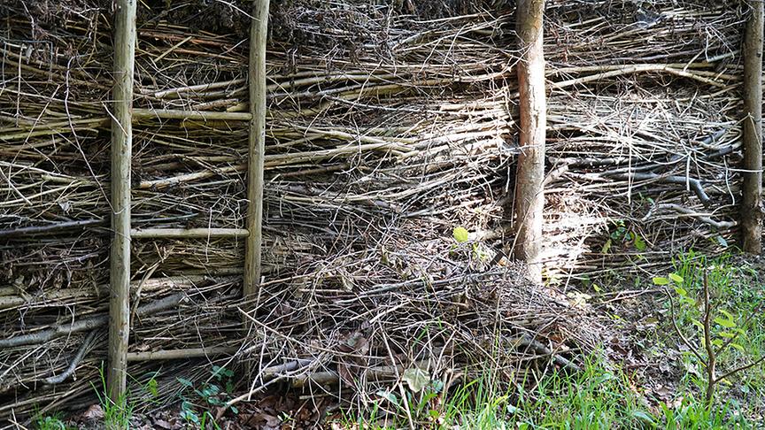 © Leopold Mayrhofer/Natur im Garten Zu Besuch im Upcycling-Garten von Tina und Martin Perina