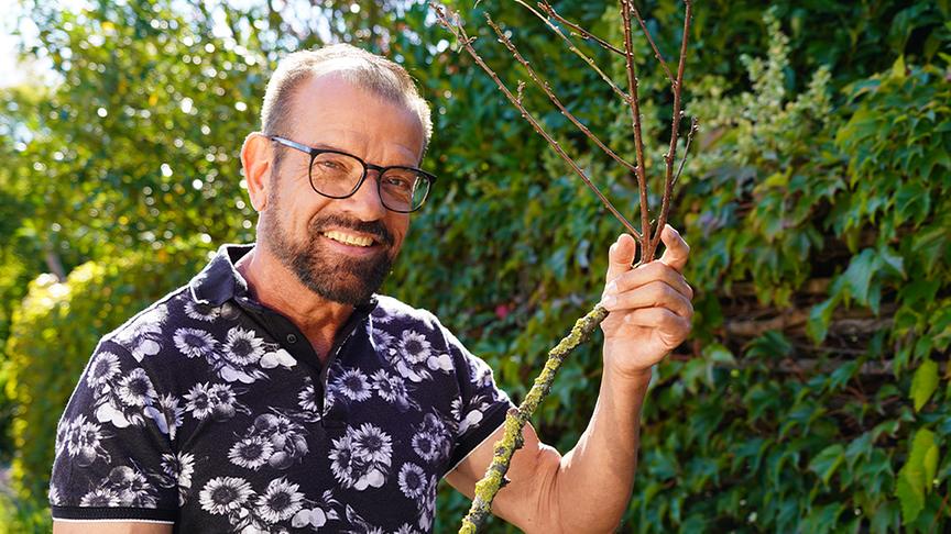 Karl Ploberger erklärt, dass Flechten auf alten Zweigen nicht schädlich sind.