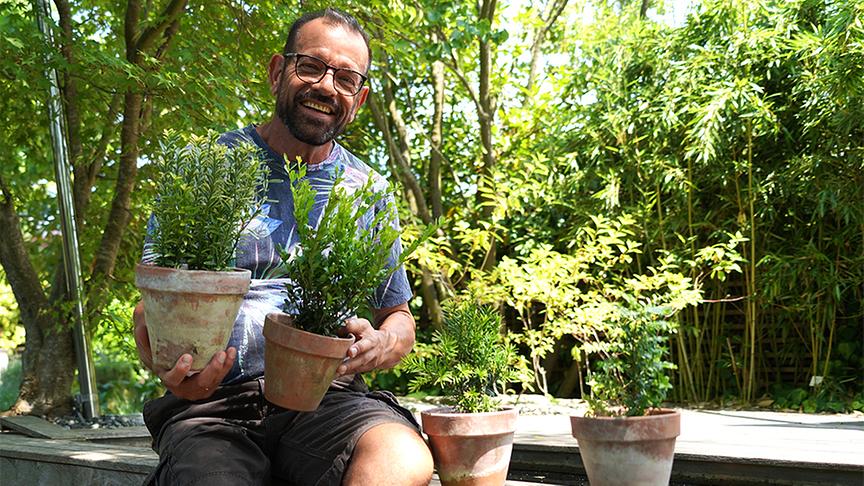 Gamander, Stechpalme, Eibe und Heckenmyrte: Karl Ploberger stellt Ersatzpflanzen für den Buchs vor.