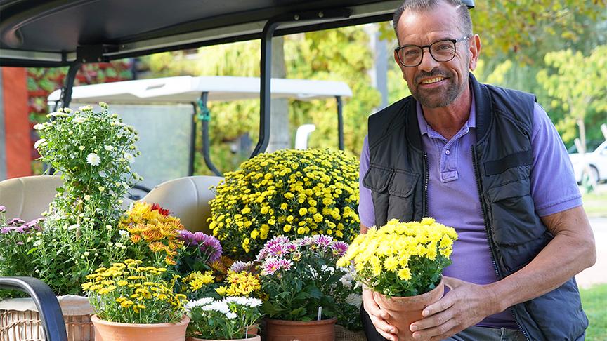 Karl Ploberger stellt die Chrysantheme vor