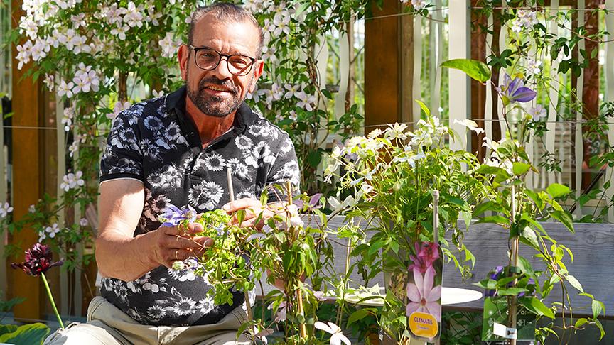 Karl Ploberger mit Clematis-Sorten