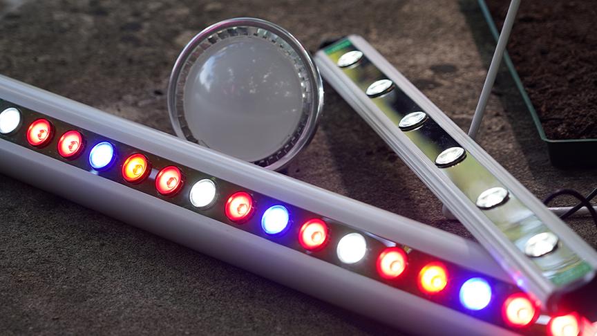 Unterschiedliche Modell von LED-Pflanzenleuchten.
