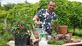Richtiges Mulchen schützt den Boden vor Hitze (im Bild: Karl Ploberger)