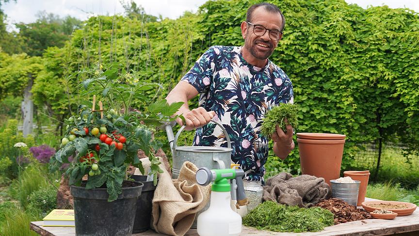 Richtiges Mulchen schützt den Boden vor Hitze (im Bild: Karl Ploberger)