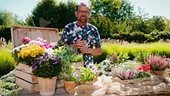 Karl Ploberger präsentiert Herbstblumen