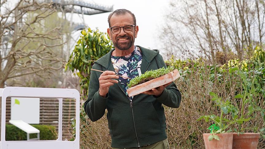 Karl Ploberger vereinzelt Jungpflanzen