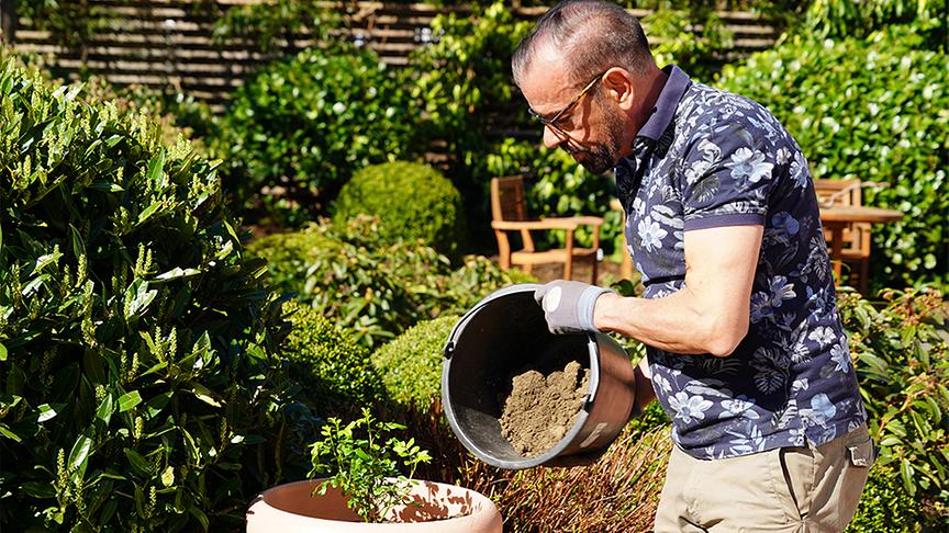 Karl gibt praktische Tipps für Rosen im Kübel