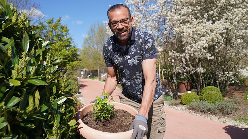 Karl gibt praktische Tipps für Rosen im Kübel