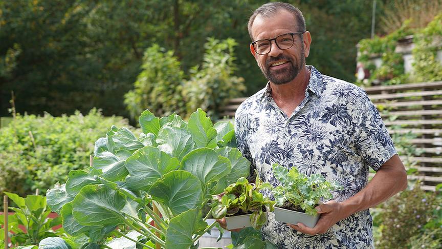 Karl Ploberger stellt Pflanzen für Balkon und Hochbeet, die Sie auch im Winter ernten können.