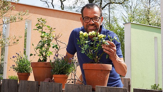 © Natur im Garten/ Leopold Mayrhofer Karl Ploberger ist Rosenexperte.