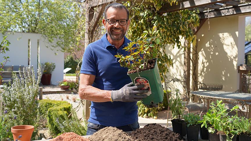 © Natur im Garten/ Leopold Mayrhofer Karl Ploberger ist Rosenexperte.