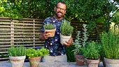 Karl Ploberger stellt trockenheitsverträgliche Sommerkräuter vor.