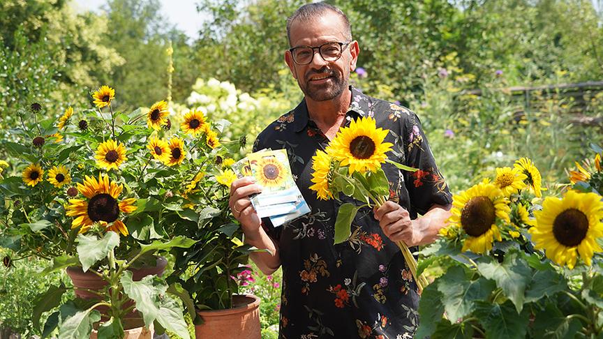 © Natur im Garten/ Leopold Mayrhofer Karl Ploberger stellt die Sonnenblume vor