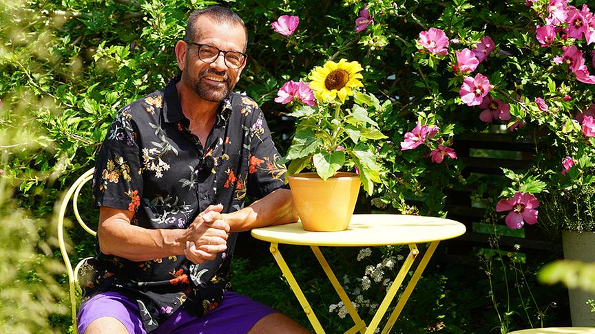 Karl Ploberger stellt die Sonnenblume vor