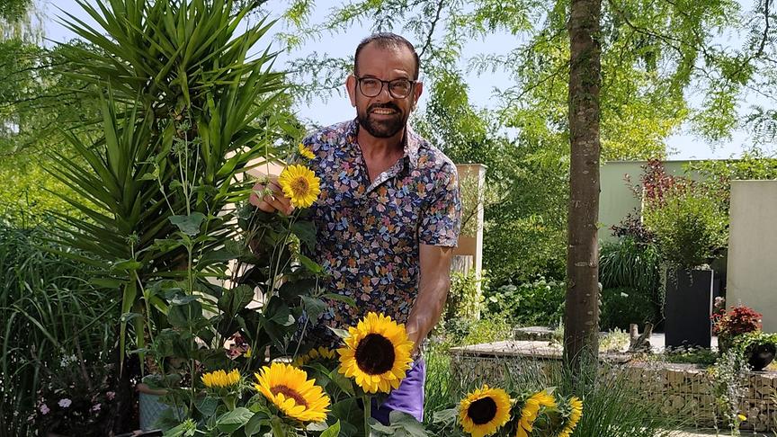© Natur im Garten/ Leopold Mayrhofer Karl Ploberger präsentiert die Pflanze der Woche. die Sonnenblume.