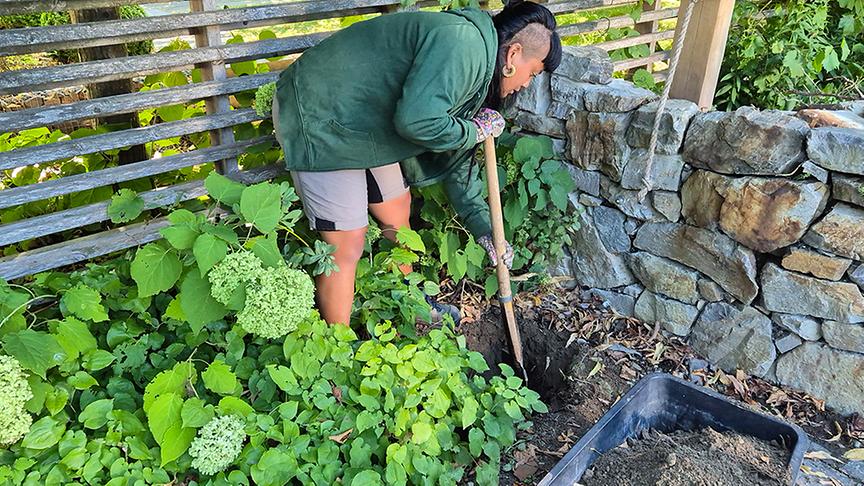 Auf der Garten Tulln wird eine Pergola mit Kletterpflanzen beschattet.