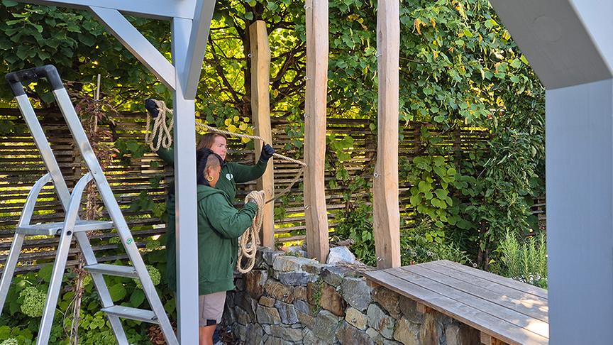 Auf der Garten Tulln wird eine Pergola mit Kletterpflanzen beschattet.