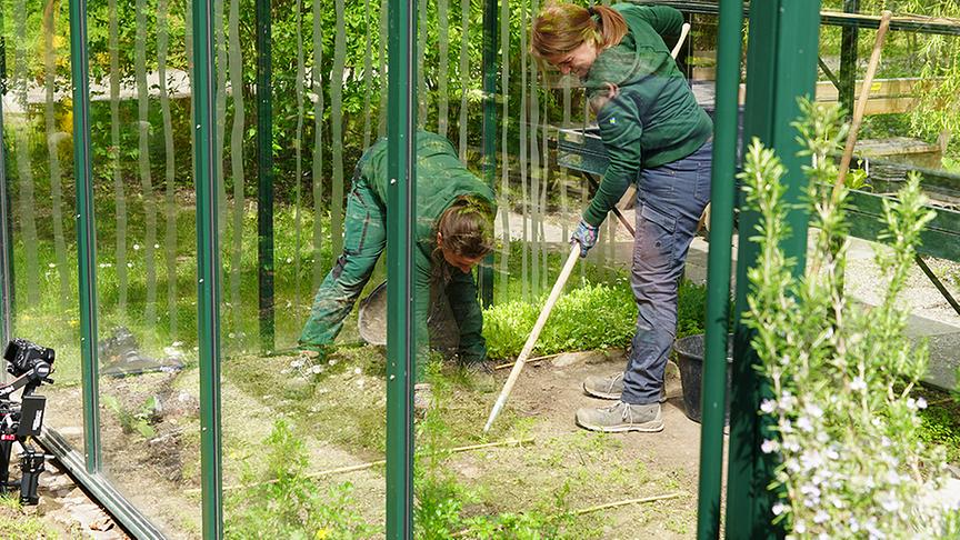 © Natur im Garten/ Leoplod Mayrhofer Die Gärtnerinnen der Garten Tulln legen einen Kraut- und Rüben-Garten an